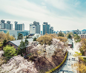首尔市立大学 University of Seoul